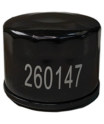 Filtro aceite SGR Kymco X-Citing 500 ie