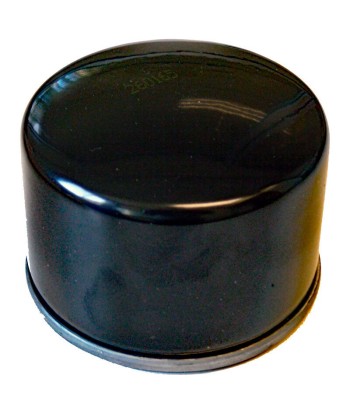 Filtro aceite SGR BMW F 800