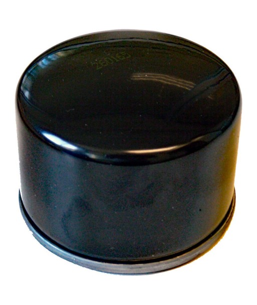 Filtro aceite SGR BMW F 800
