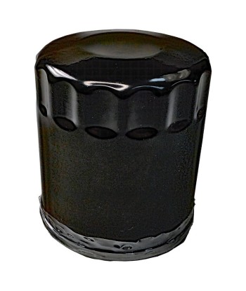 Filtro aceite SGR Harley Davidson