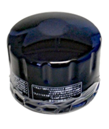Filtro aceite SGR Piaggio 400/500