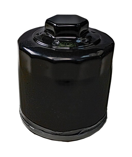 Filtro aceite SGR Honda SH 300
