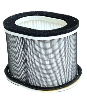 Filtro de aire 3GM-14451-00
