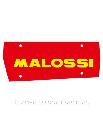 Filtro Aire Malossi Scarabeo 50