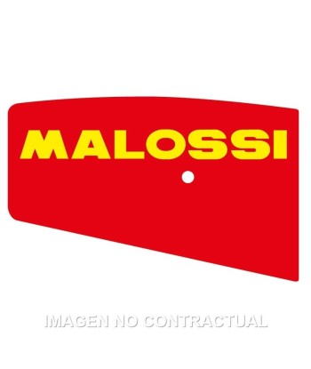 Filtro Aire Malossi X8R 50