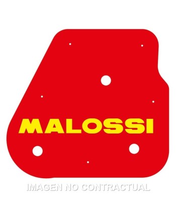Filtro Aire Malossi Aerox 50, Neo's, Jog
