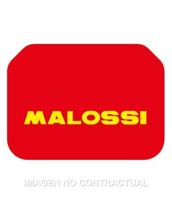 Filtro Aire Adaptable Malossi Suzuki Burgman 400