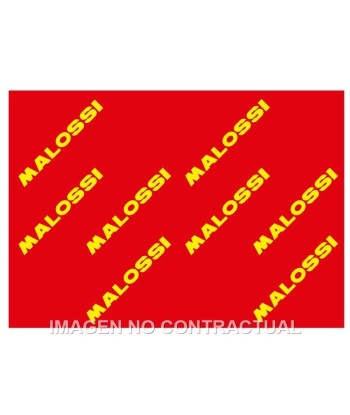 Hoja elemento filtrante Malossi Red Sponge
