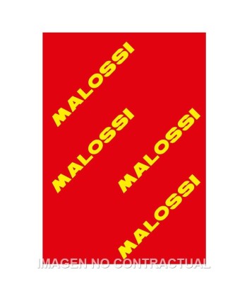 Hoja elemento filtrante Malossi Red Sponge