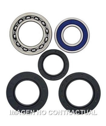 Kit de rodamientos rueda All Balls 25-1015