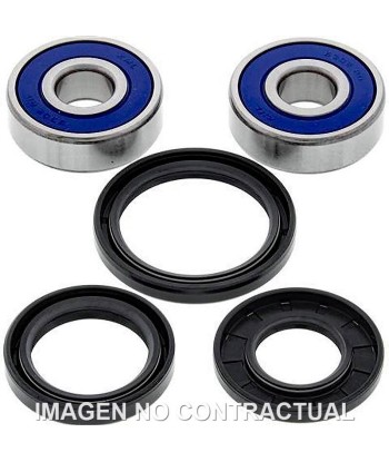 Kit de rodamientos rueda All Balls 25-1310