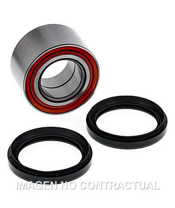 Kit de rodamientos rueda All Balls 25-1699