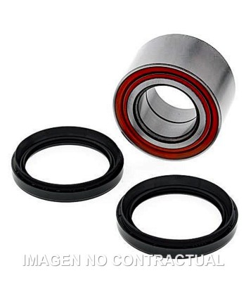 Kit de rodamientos rueda All Balls 25-1700