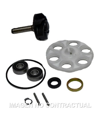 Kit Reparación Bomba De Agua Minarelli completo