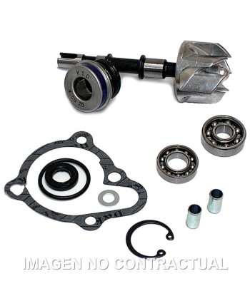 Kit Reparación Bomba De Agua Kymco B&W 250