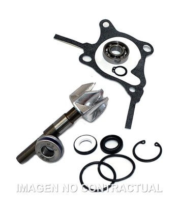 Kit Reparación Bomba De Agua Honda Foresight 250