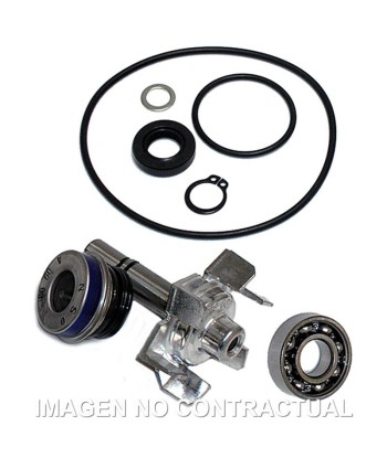 Kit Reparación Bomba De Agua T-Max 500 (04-11)