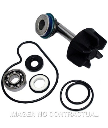 Kit Reparación Bomba De Agua Suzuki Burgman 250