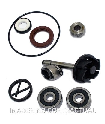 Kit Reparación Bomba De Agua Piaggio Beverly 250