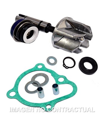 Kit Reparación Bomba De Agua Kymco Super Dink 300