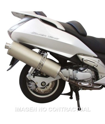 Tubarro Maxi Wild Lion Honda Silver Wing 600 4T