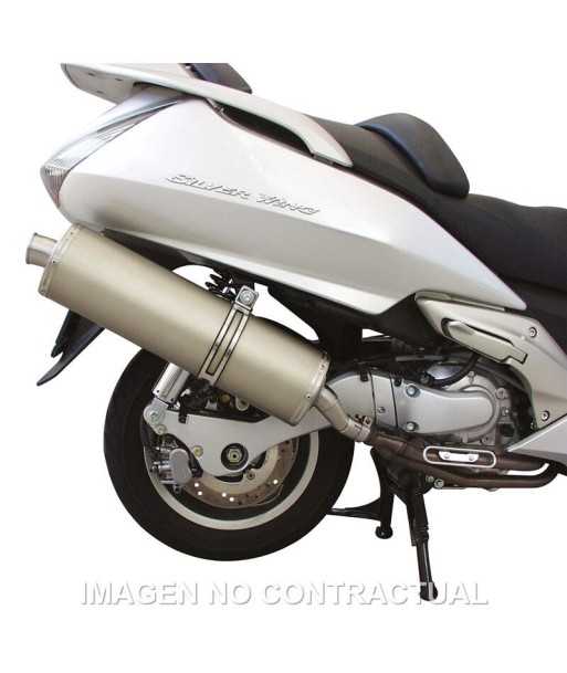 Tubarro Maxi Wild Lion Honda Silver Wing 600 4T