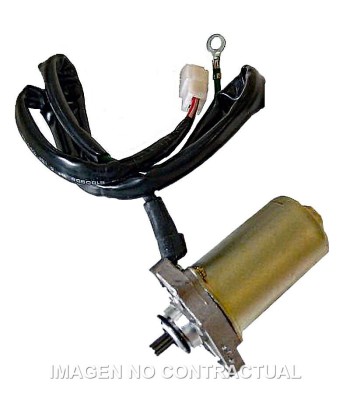 Motor Arranque 12V 0,25Kw