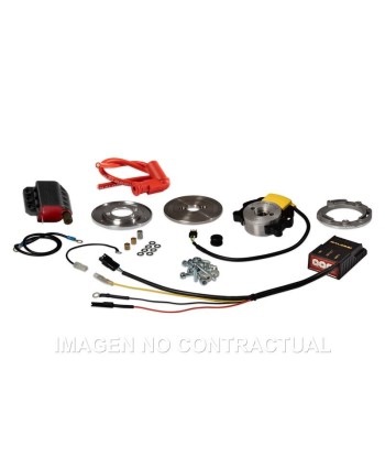 ENCENDIDO ROTOR INTERNO MALOSSI MHR TEAM II PIAGGIO