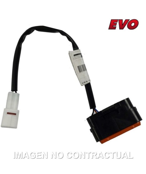 MÓDULO DE PROGRAMACIÓN RAPID BIKE EVO
