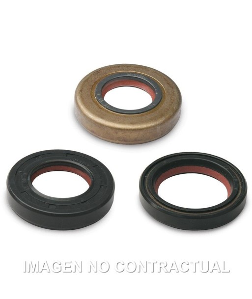 JUEGO RETEN ACEITE FKM/PTFE MALOSSI MINARELLI AM6