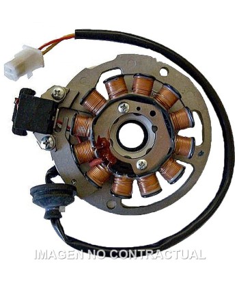 Stator Ducati 12 Polos 12V 140W (Motor Minarelli 50 2T Euro2-2.3)