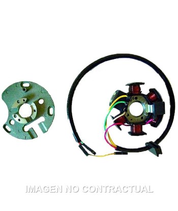 Stator Kokusan 6 Polos 12V 85W (Mot. Derbi/Piaggio 6 v. con arranque eléctrico)