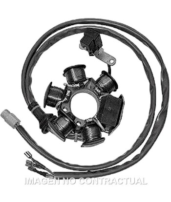 Stator SGR 6 Polos 12V 90W (Motor Piaggio 50 2T)