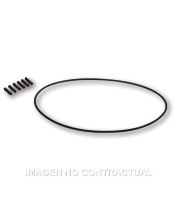 Tornilleria Encendido Malossi Vespower 5517175