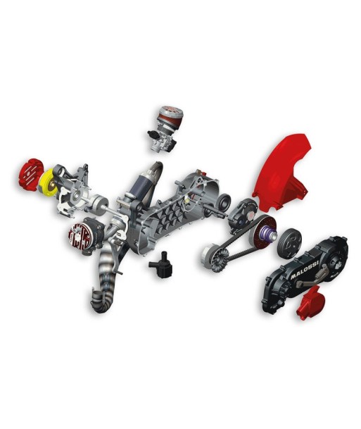 Motor Malossi Completo RC-One Minarelli