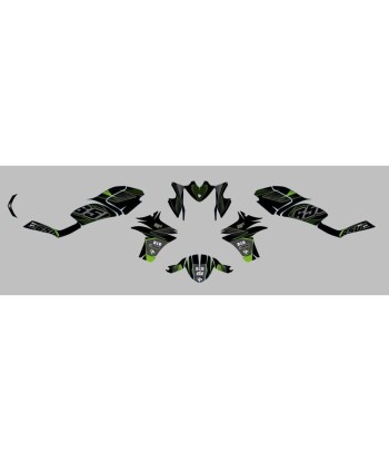 Kit Deco UP Maximize Negro-Verde Kawasaki ER6N