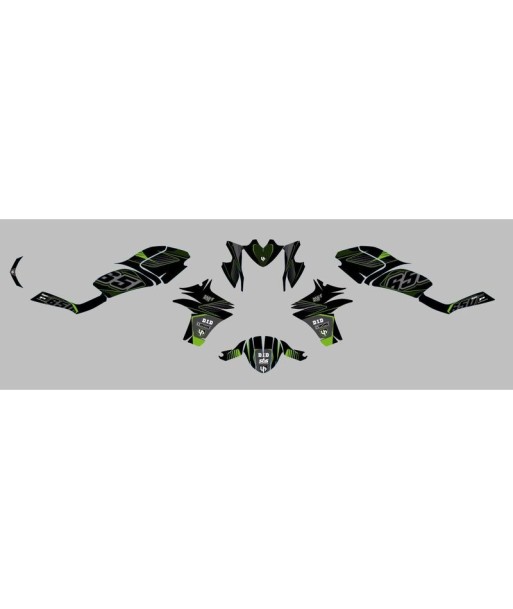 Kit Deco UP Maximize Negro-Verde Kawasaki ER6N