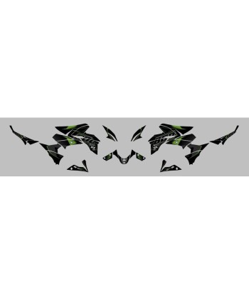 Kit Deco UP Maximize Negro-Verde Kawasaki Z800