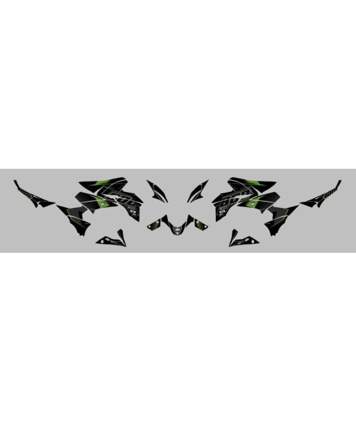 Kit Deco UP Maximize Negro-Verde Kawasaki Z800