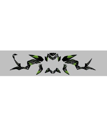 Kit Deco UP Maximize Negro-Verde Kawasaki Z750