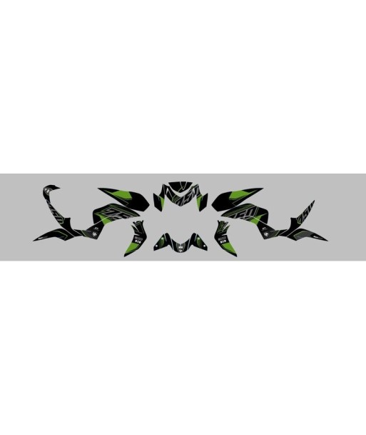 Kit Deco UP Maximize Negro-Verde Kawasaki Z750