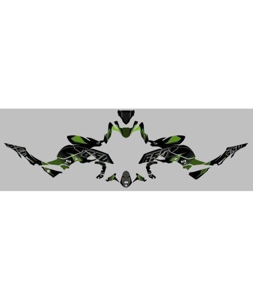Kit Deco UP Maximize Negro-Verde Kawasaki Z650