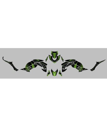 Kit Deco UP Maximize Negro-Verde Kawasaki Z900