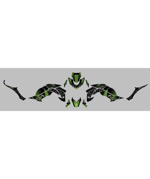 Kit Deco UP Maximize Negro-Verde Kawasaki Z900