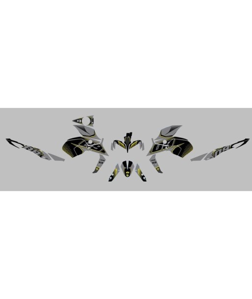 Kit Deco UP Maximize Gris-Amarillo Yamaha MT09