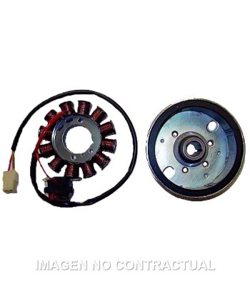Volante Magnético 12 Polos 12V 120W