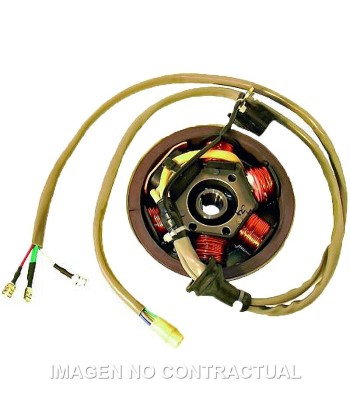 Volante Magnético 6 Polos 12V 90W (Motor Piaggio 50 2T)