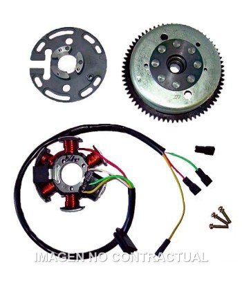 Volante Magnético 6 Polos 12V 85W (Motor Derbi/Piaggio 6 Marchas con arranque eléctrico)