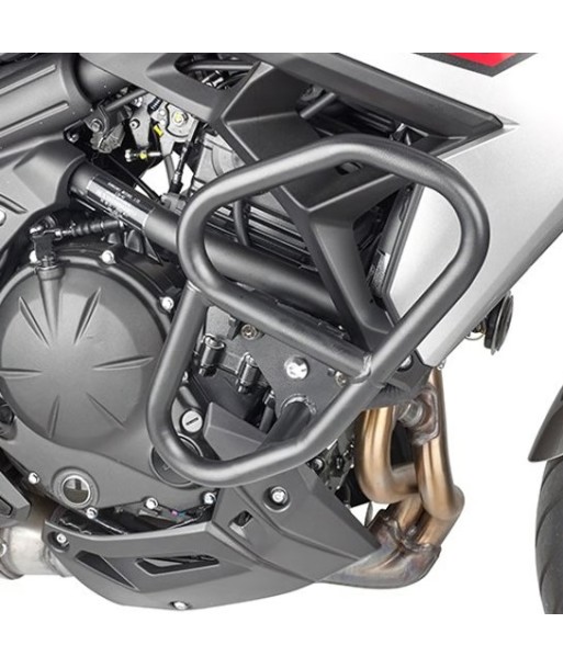 DEFENSAS MOTOR KAWASAKI VERSYS 650 22-24