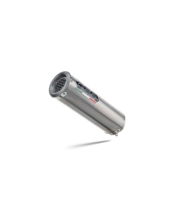 Escape GPR Bmw G 310 Gs 2022/2024 e5 - M3 Titanium Natural
